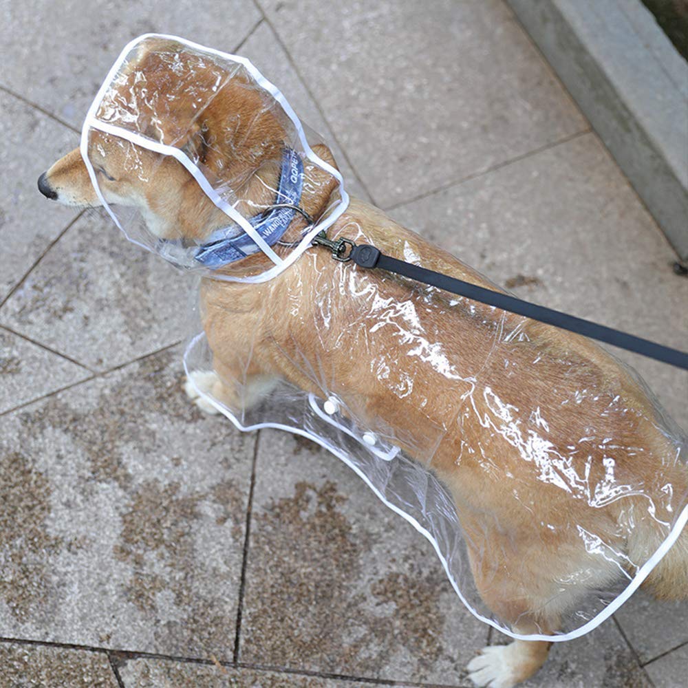 Cappottino catarifrangente per Cani Gatto con cappuccio, Regolabile PVC trasparente poncho impermeabile ultraleggero, Per cani di piccola taglia（bianca, L）