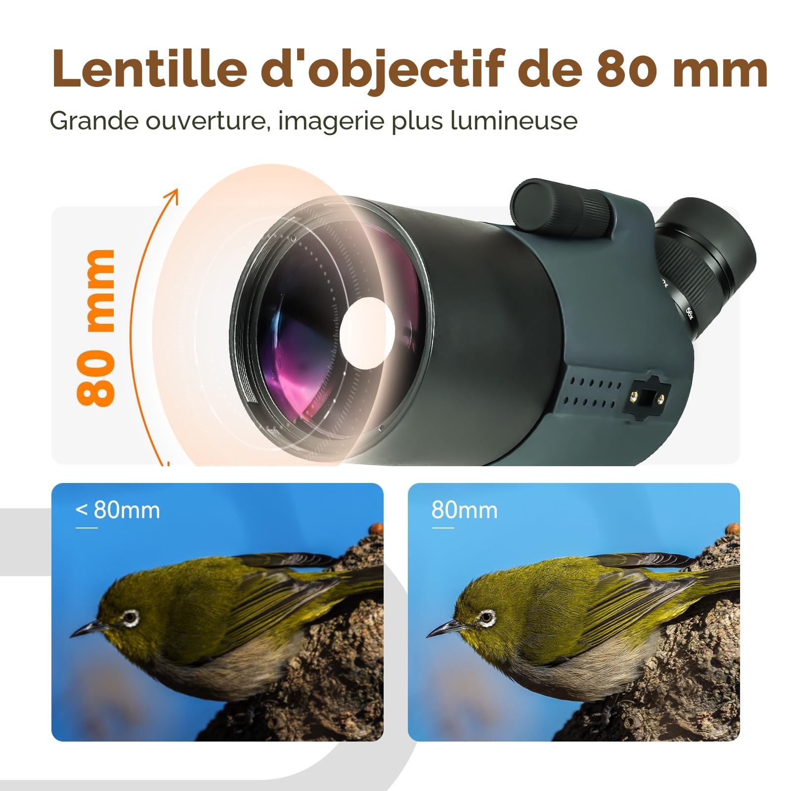 Svbony SV41Pro Mak Longue Vue avec Trépied et SC001 WiFi Caméra, 28-84X80 FMC Mise au Point à Double Vitesse, Longue Vue Puissante pour Le Tir Sportif et la Chasse, Observation des Oiseaux