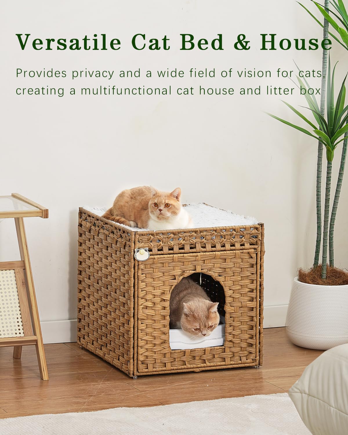 https://m.media-amazon.com/images/I/71QM9xHhHJL.jpg
