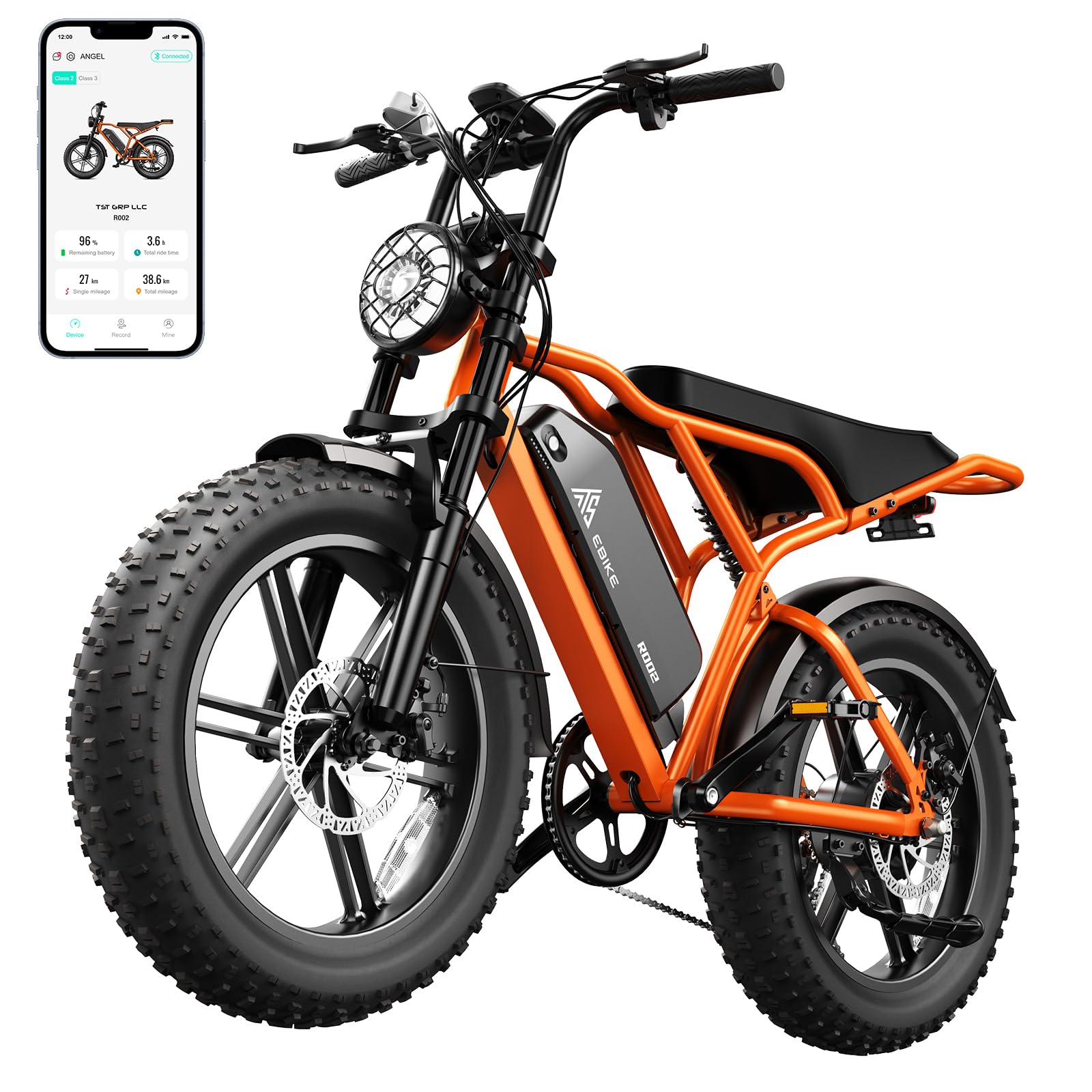 TST 1500W Fat Tire
