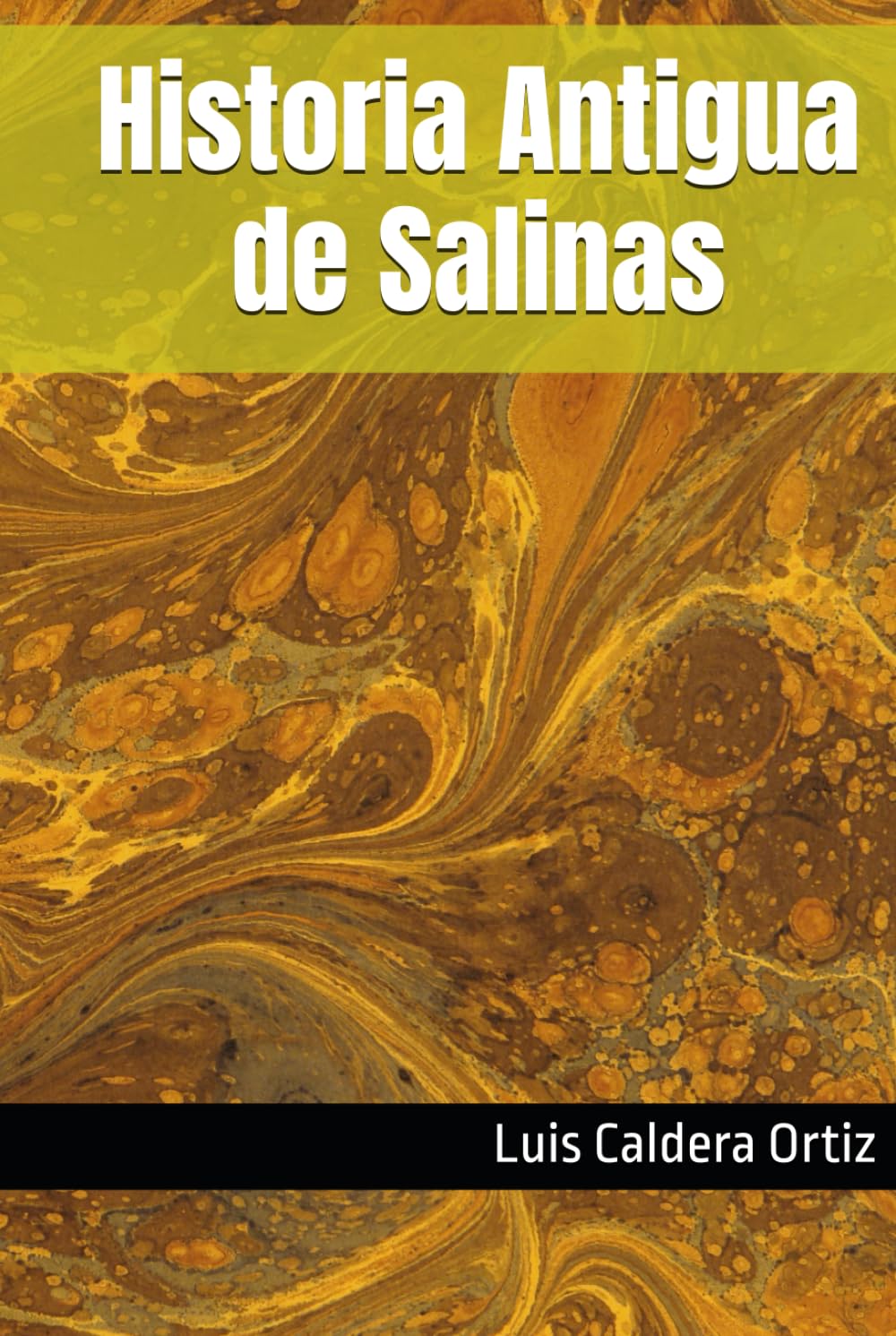 Historia Antigua de Salinas (Spanish Edition)      Hardcover – July 3, 2025