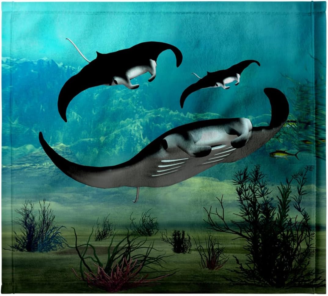 3dRose Manta Rays Swimming 22x30 Bath Hand Pool Towel