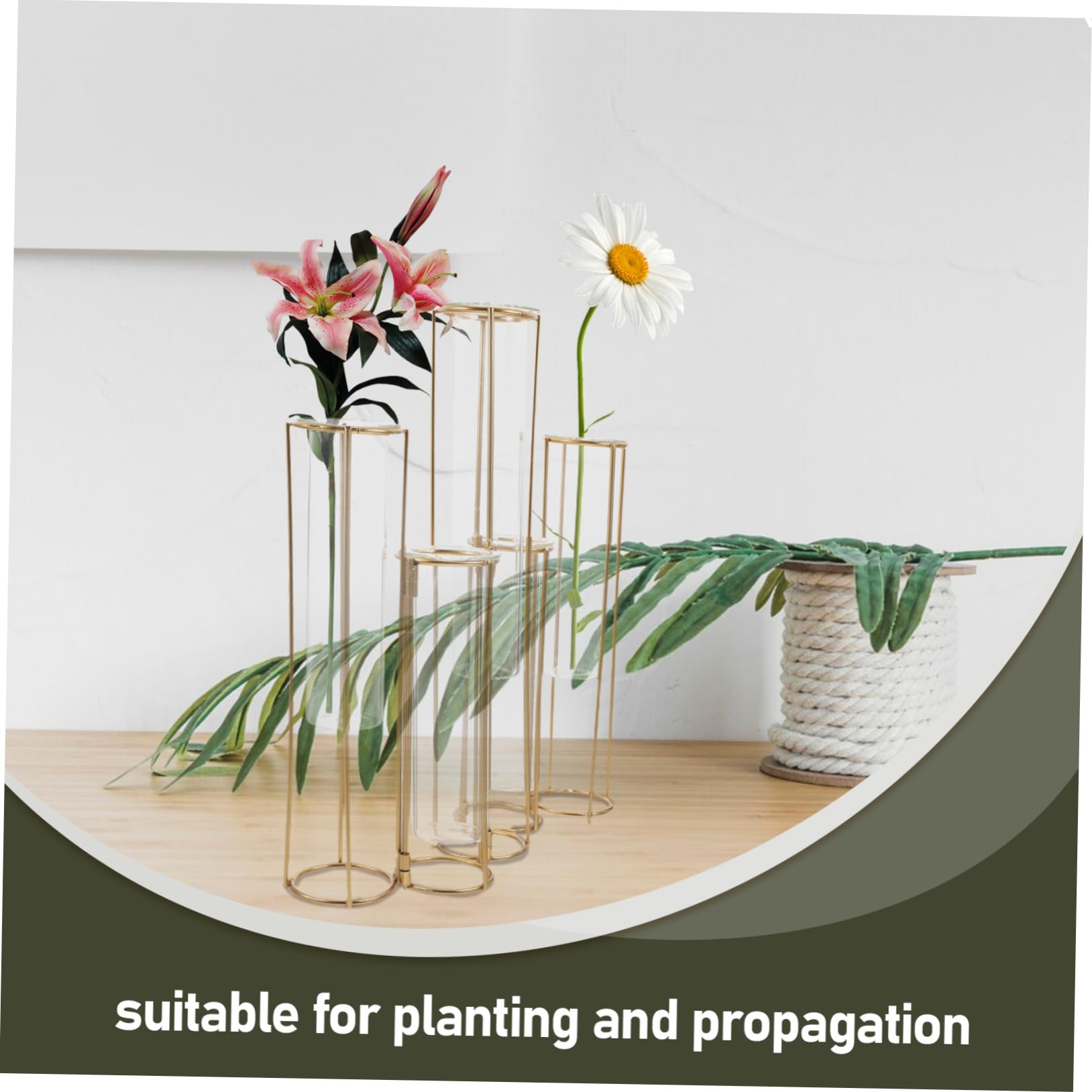 MAGICLULU Vase Hydroponique Verre avec Support Métallique Tubes De Propagation pour Plantes Décoration De Maison Et Bureau