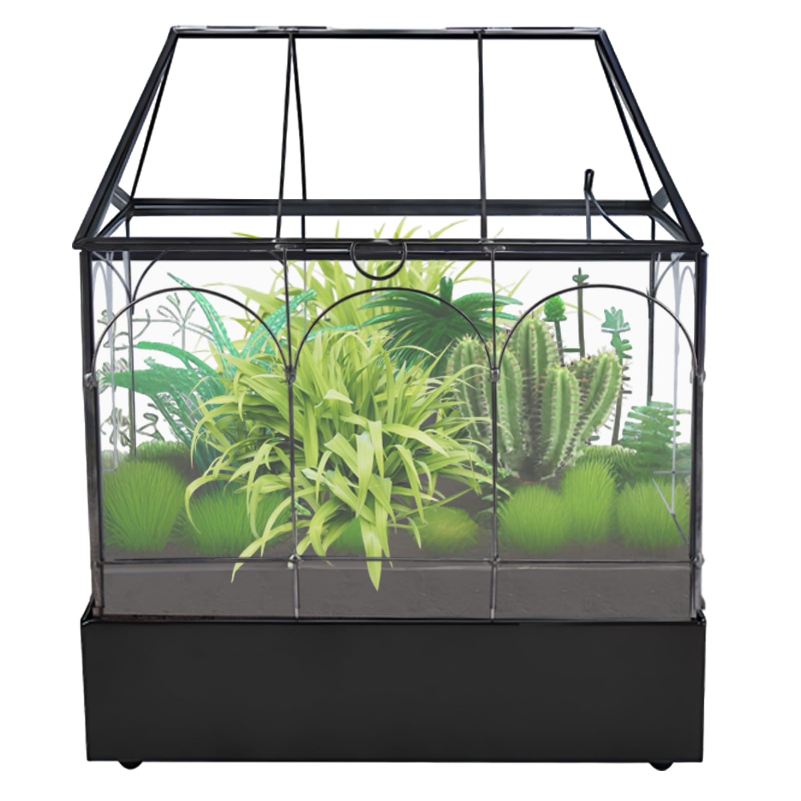 HighFree Terrario grande de cristal con bandeja de metal y patas de bola, kit de invernadero para suculentas, cactus, caracoles, arañas y reptiles en miniatura, color negro