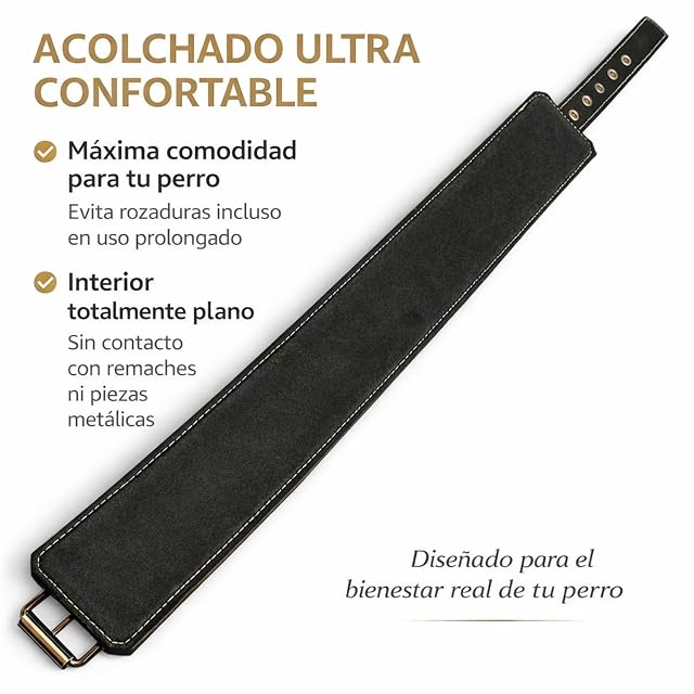 Foto 6 de 8 de Collar para Perros Premium Extra Ancho 5,5 y 7 cm - Cuero Triple Anillo D Soldado - Acolchado Interior