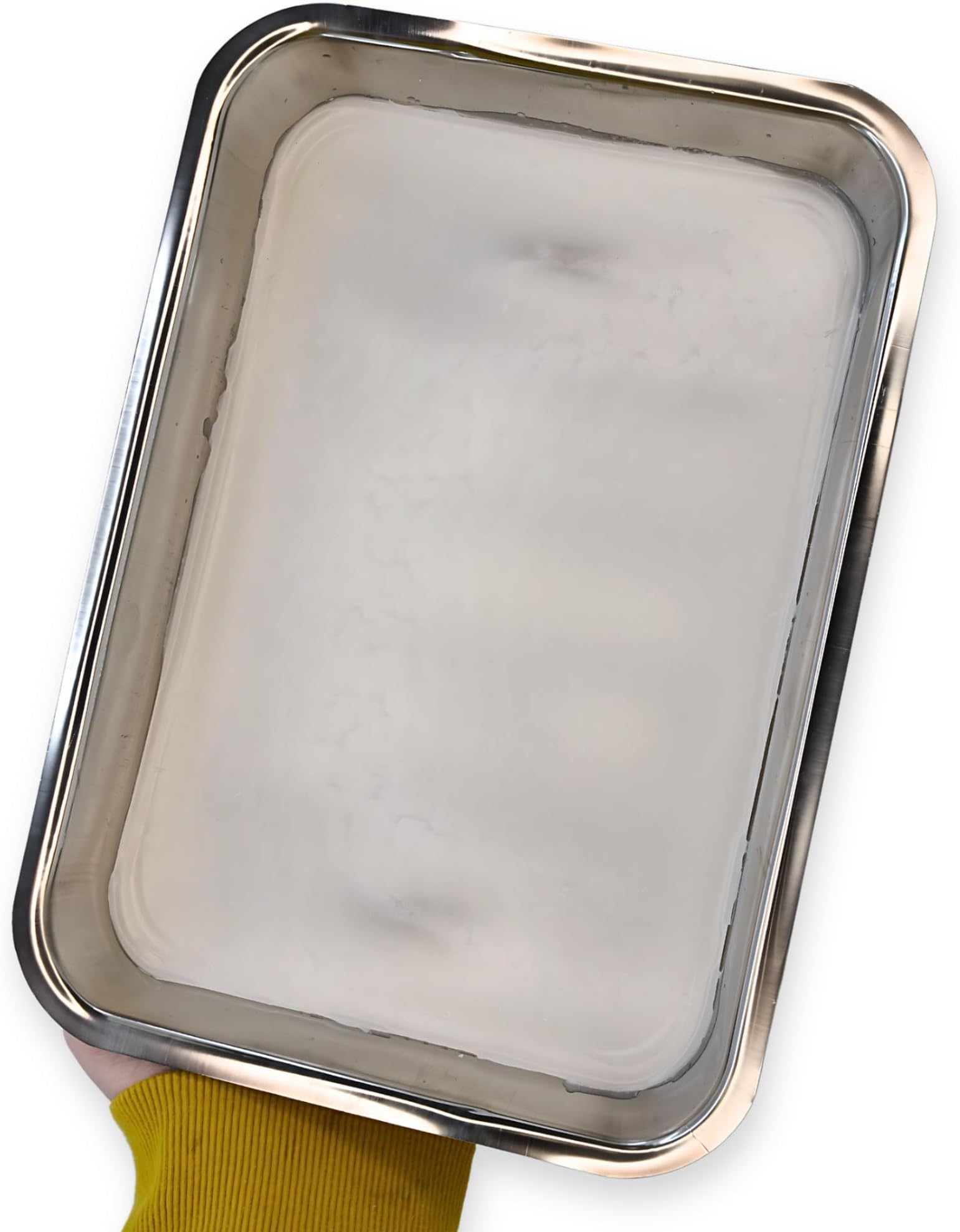 EISCO Eisco Labs Premium Stainless Steel Dissection Tray - 12X9X2"