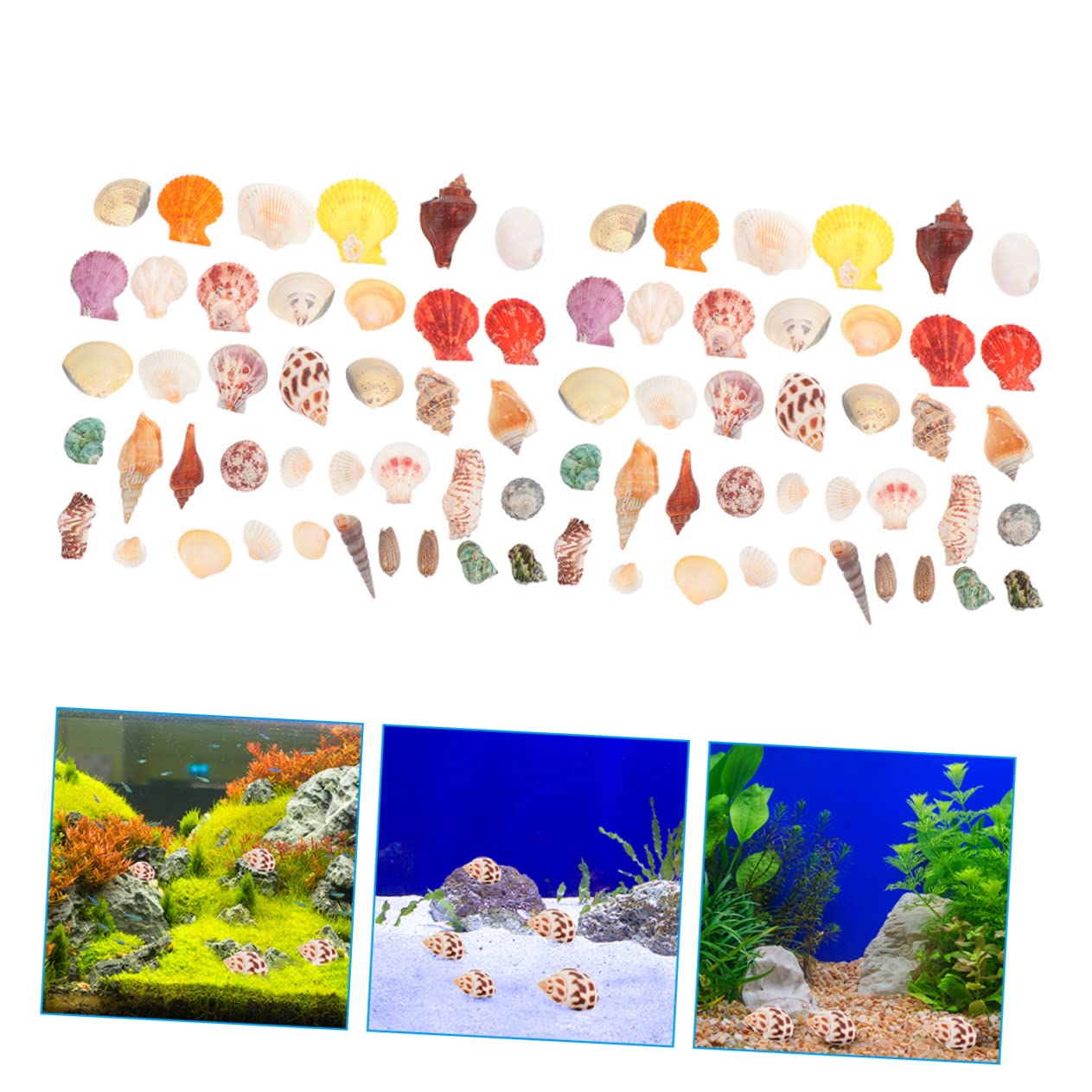 Cabilock 2 Set Conchiglia Vuoto Mare Granchio Eremita Carro Armato di Pesci di Ghiaia Coperchio Decor Ocean Oyster Beach Conchiglie Versare Spiaggia Fish Tank Decor Conchiglia 160 Pezzi * 2