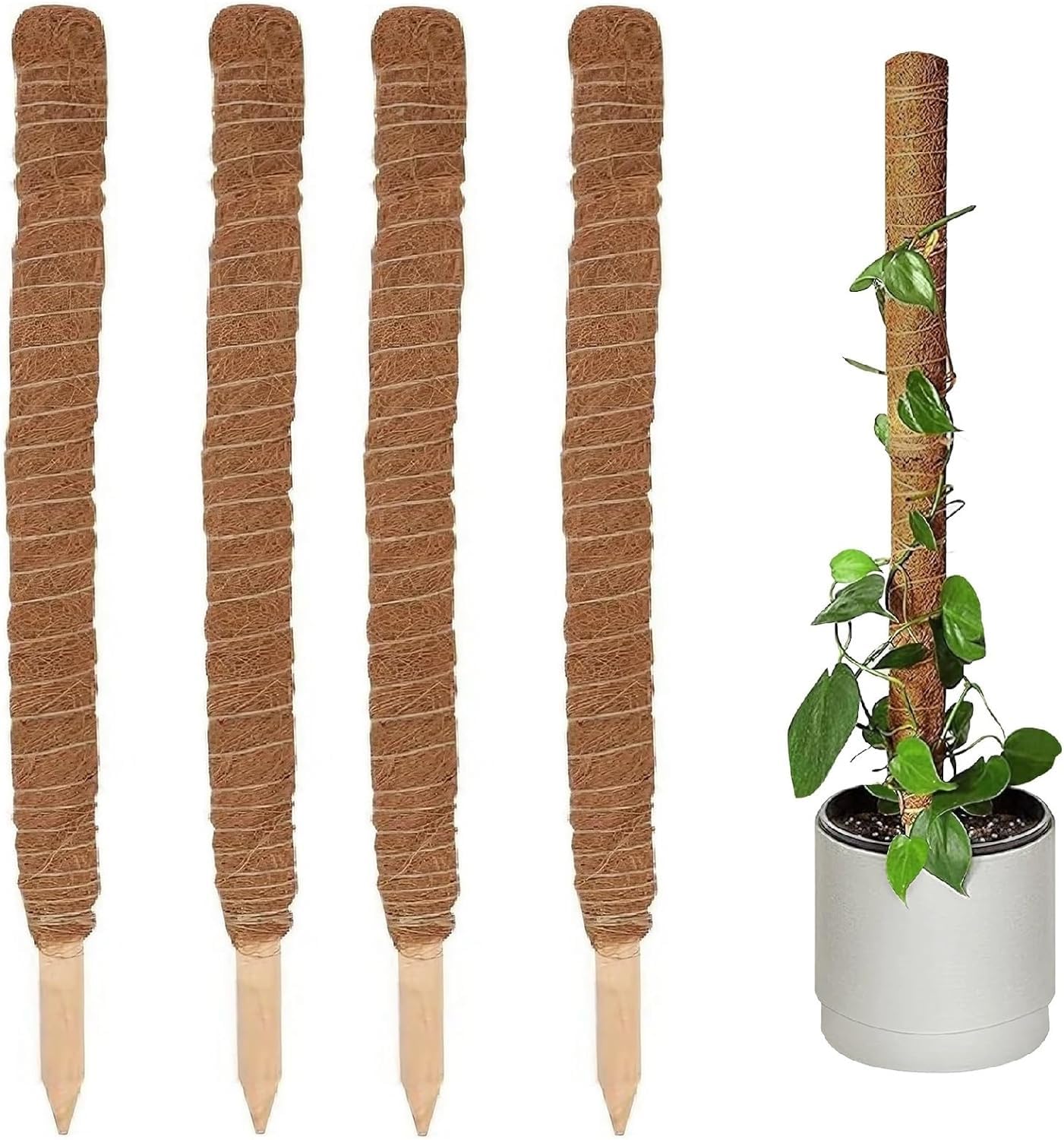 Holdfiturn 4pcs Moss Pole 90cm Coir Totem Pole Moss Stick Plant Support Totem Pole Plant Climbing Coco Coir Poles for Creepers Climbing Plant