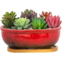 ARTKETTY Succulent Pots - Large Succulent Planters with Drainage Tray, 7.9 Ceramic Pots for Indoor Cactus Plants, Oval Bonsai Flower Plant Container Bowl Decorative Home Desk Windowsill