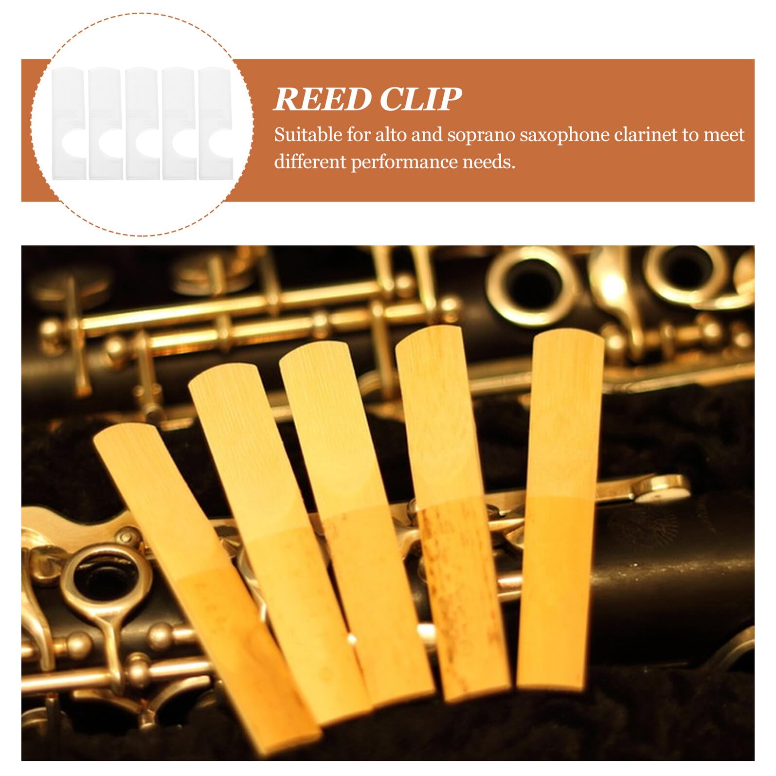 Porta Ance per Clarinetto e Sax Tenore, 5 Pezzi, Protezione | Accesso Laterale Efficiente, per Pratica e Insegnamento, Plastica, Capienza Ampia, Formato Portatile