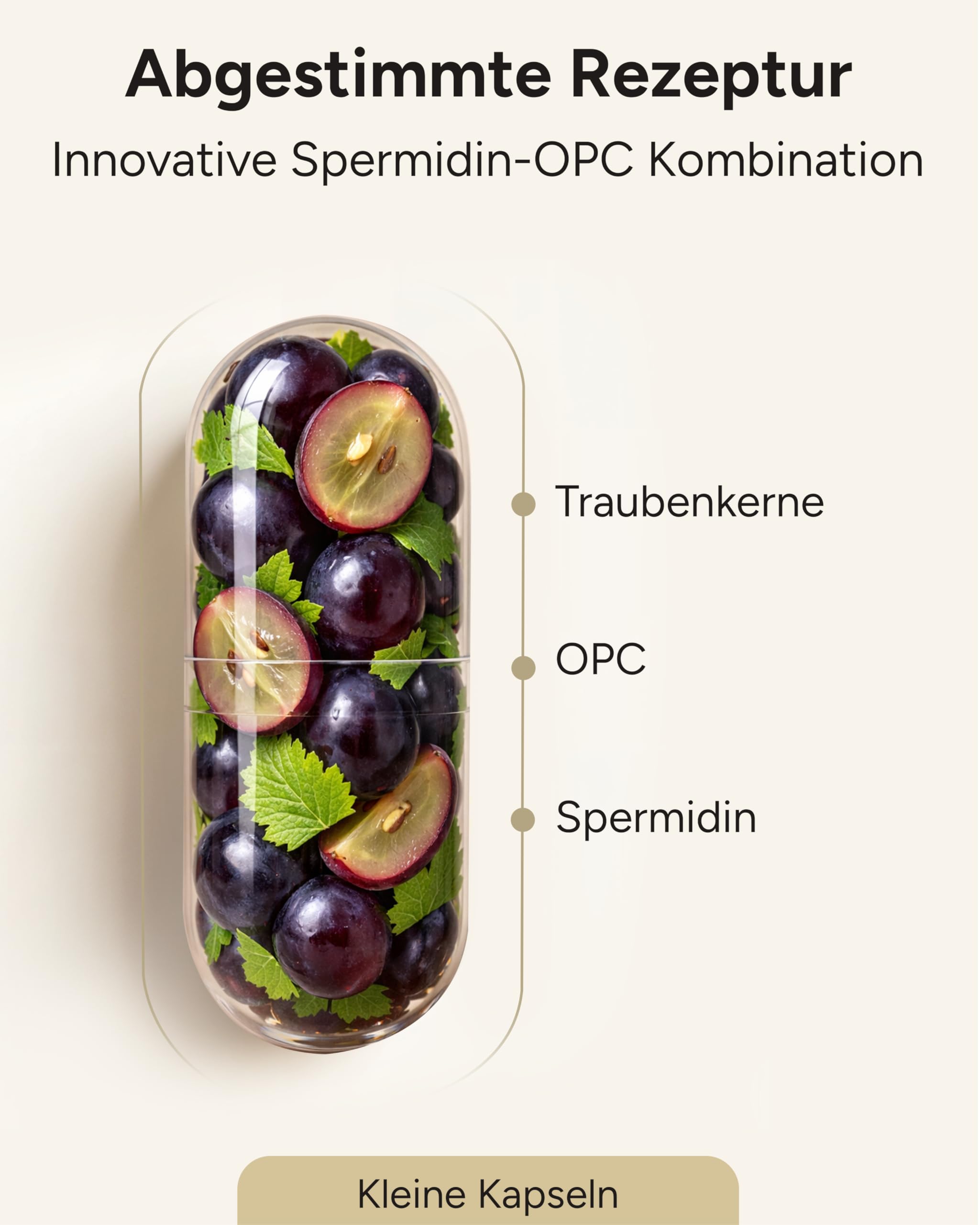 Spermidin Kapseln hochdosiert optimiert mit OPC Traubenkern-Extrakt und Spermidin 6mg - einzigartige Kombination aus Spermidine & OPC Kapseln - 3 Monatsvorrat