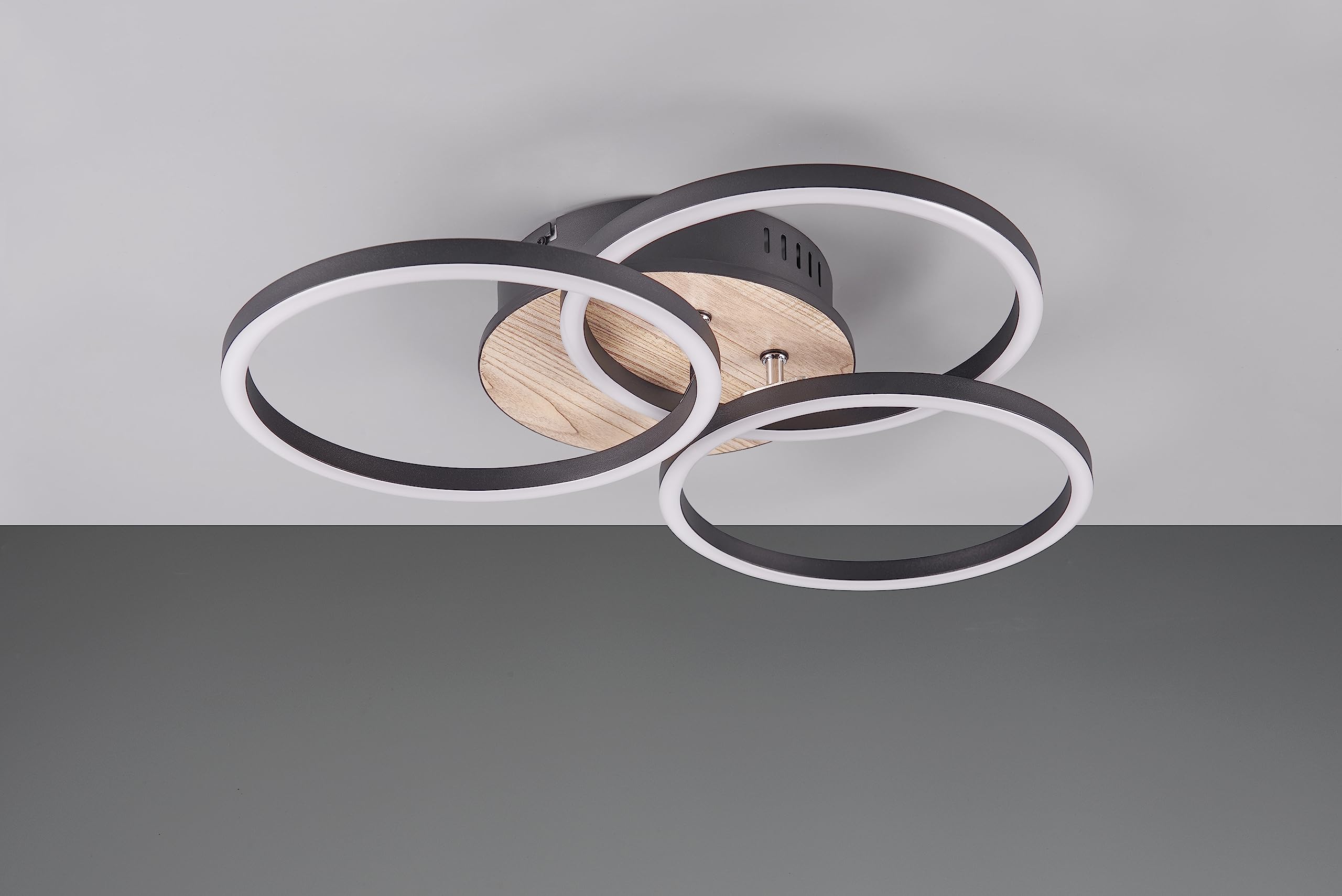 Reality, Lámpara de techo, Circle incl. 1xLED