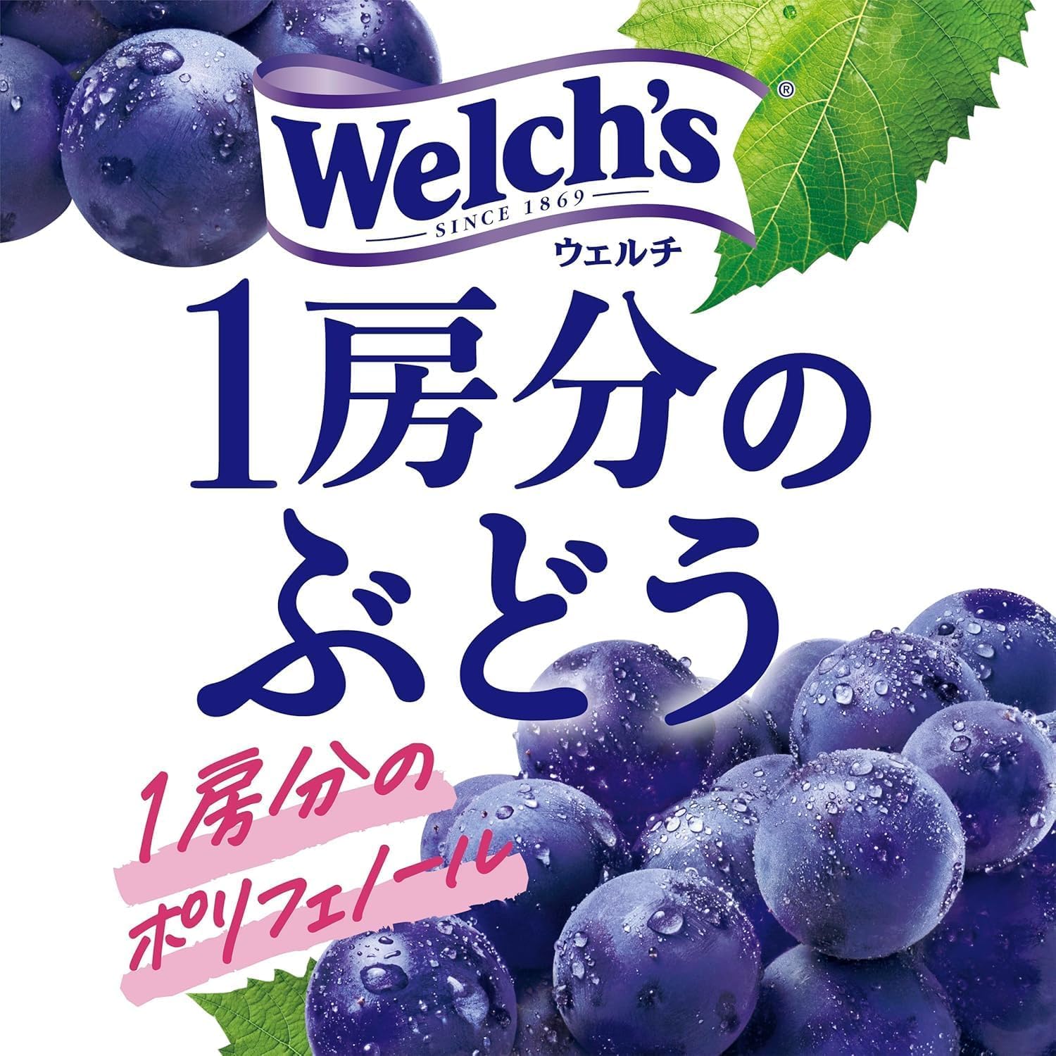 Amazon.co.jp: 【みのる商事】アサヒ Welch's 1房分のぶどう PET 470ml