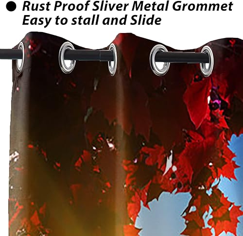 Miniatura 4 de Baocicco Cortinas de la Torre Eiffel de París, lugares famosos europeos, paisaje urbano, para niñas, mujeres, dormitorio, sala de estar, cortinas