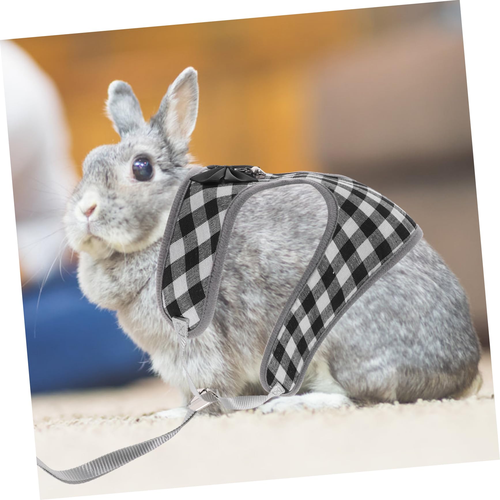Beavorty 5sätze Süße Kaninchenkleidung Verstellbares Geschirr Mit Bunny-kostüm Für Kleine Haustiere Für Und Besondere Anlässe Atmungsaktiv Und