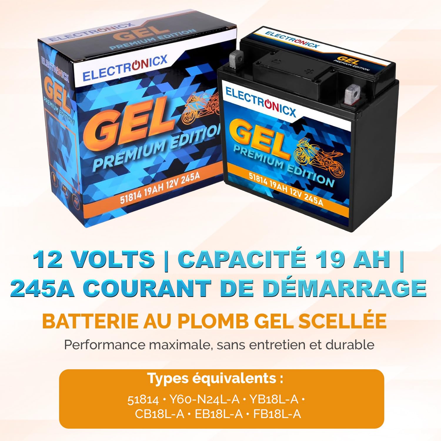 Electronicx GEL-51814 Batterie moto 12V 19Ah 245A – puissante, sans entretien, scellée et étanche, technologie gel, haute performance pour moto, scooter, quad, ATV, motoneige