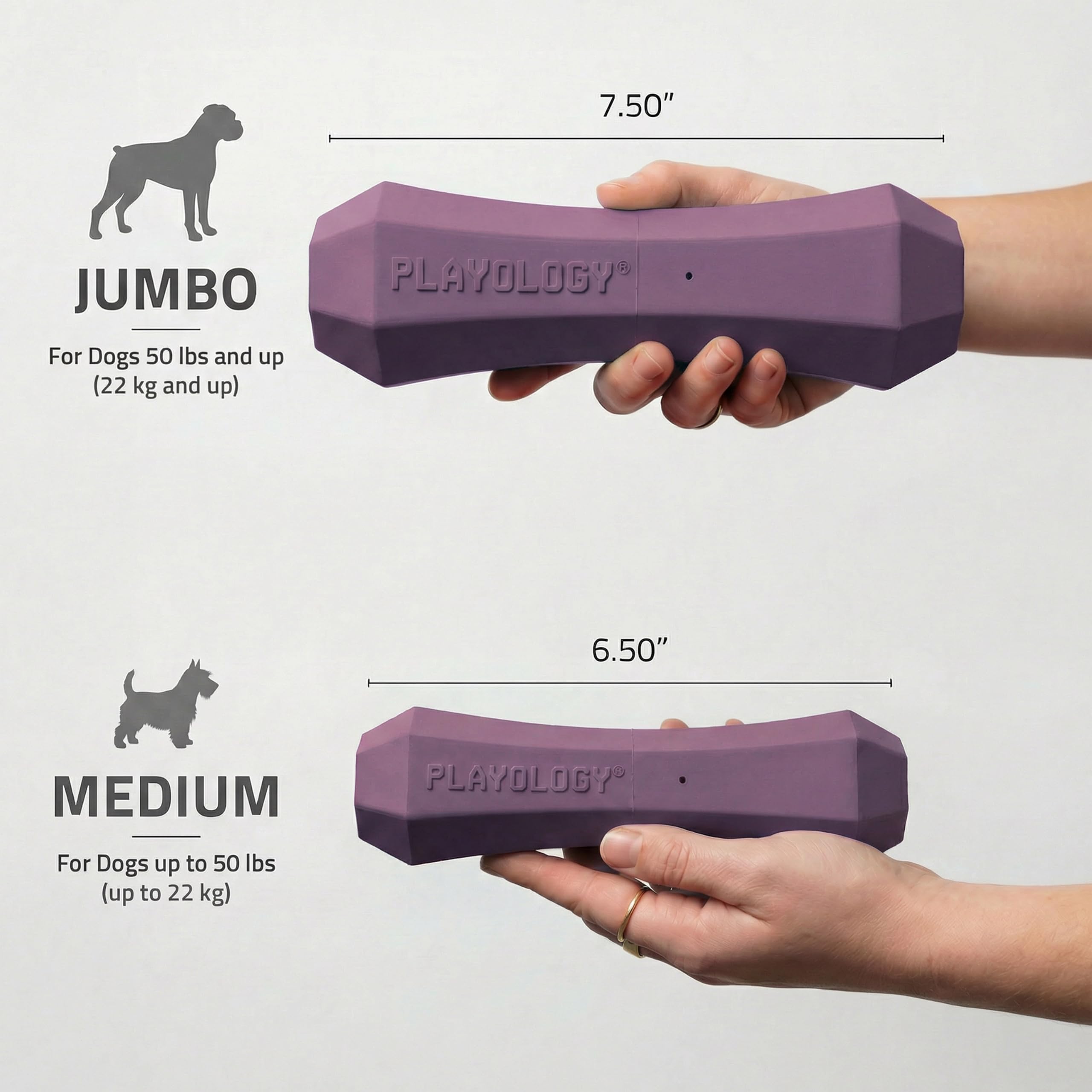 Playology Quietschendes Hundespielzeug, Apportierstab, langlebiges Gummispielzeug für interaktives Spielen, Speckduft, Apportierstab für mittelgroße Hunde, schwimmendes Hundespielzeug aus ungiftigen