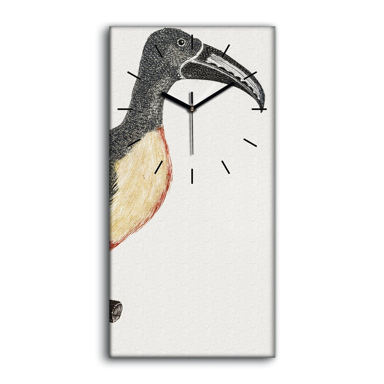 Horloge salon et chambre Coloray déco murale oiseau nature branchée 30x60