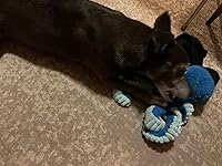 Review Image by Gay Lynn Gay Lynn