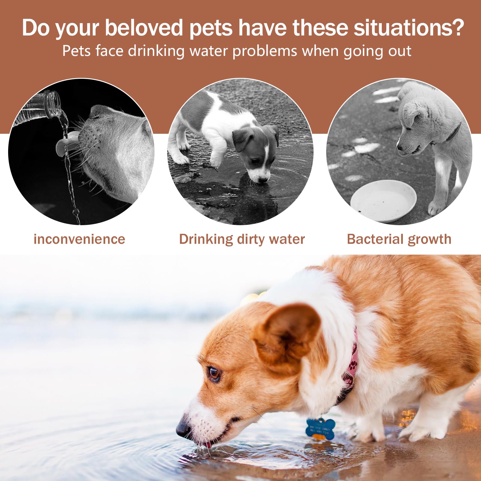 Borraccia Per Cani Pieghievole 350ml | Ciotola Acqua Portatile - Foto 3