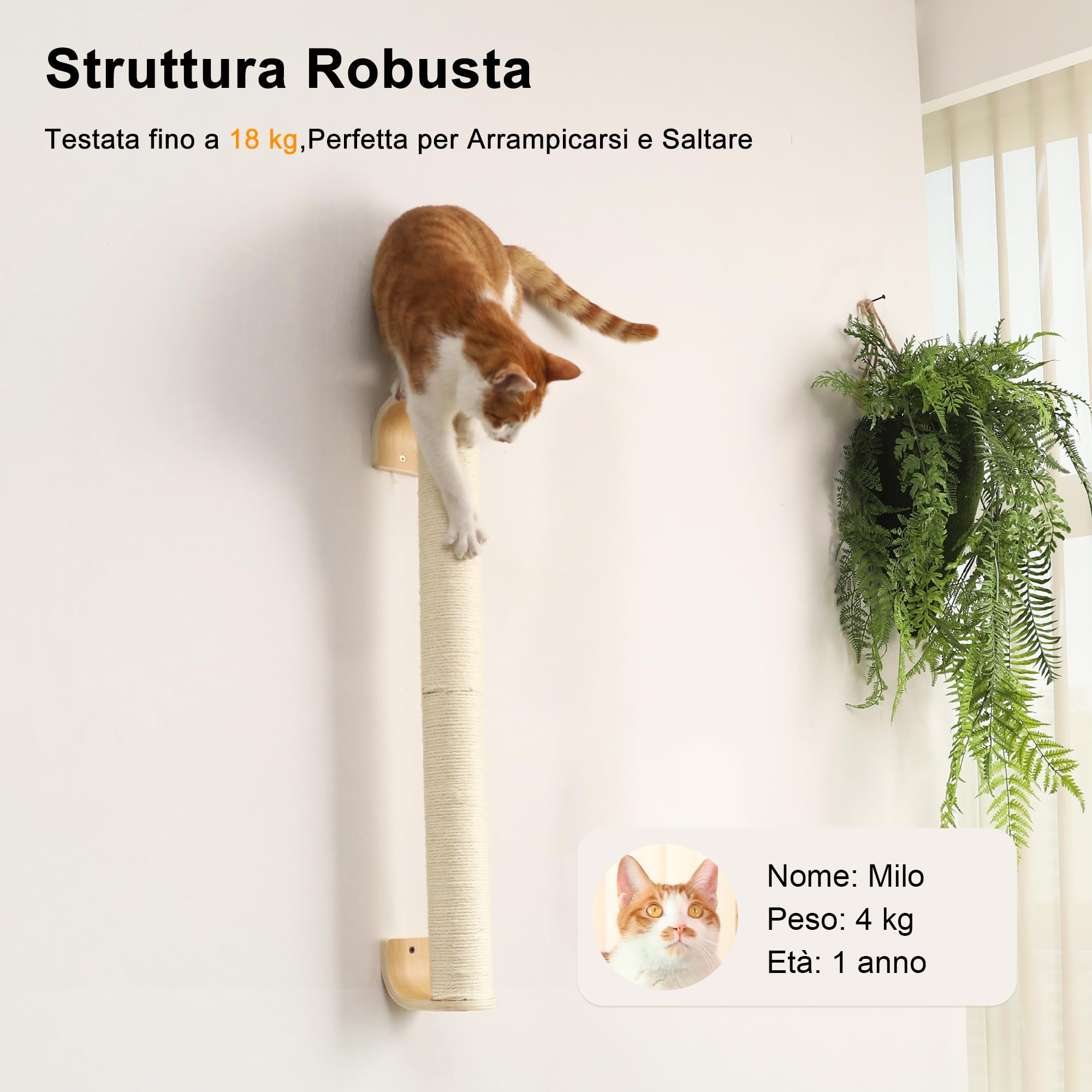 FUKUMARU Tiragraffi per Gatti da Parete, (L:71cm) Palo in Corda di Sisal Naturale a Muro per Gattini, Solido Albero per Arrampicare per Gatti Domestici.