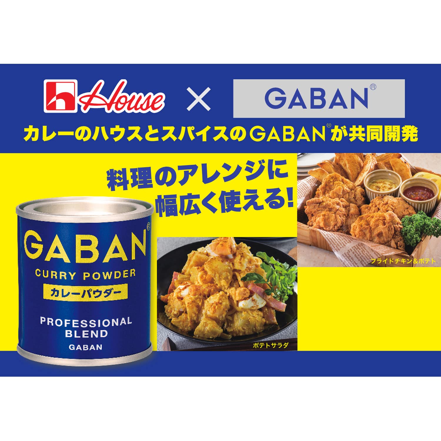 Amazon | GABAN(ギャバン) ハウス ギャバン(GABAN) カレーパウダー缶
