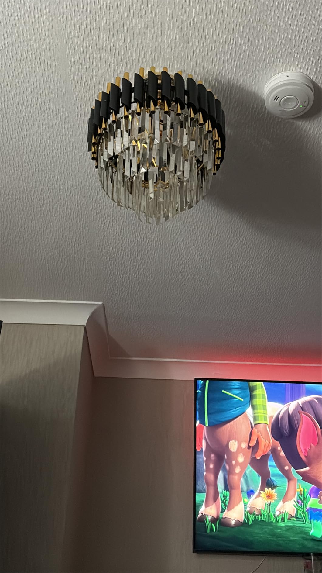 Customer photo