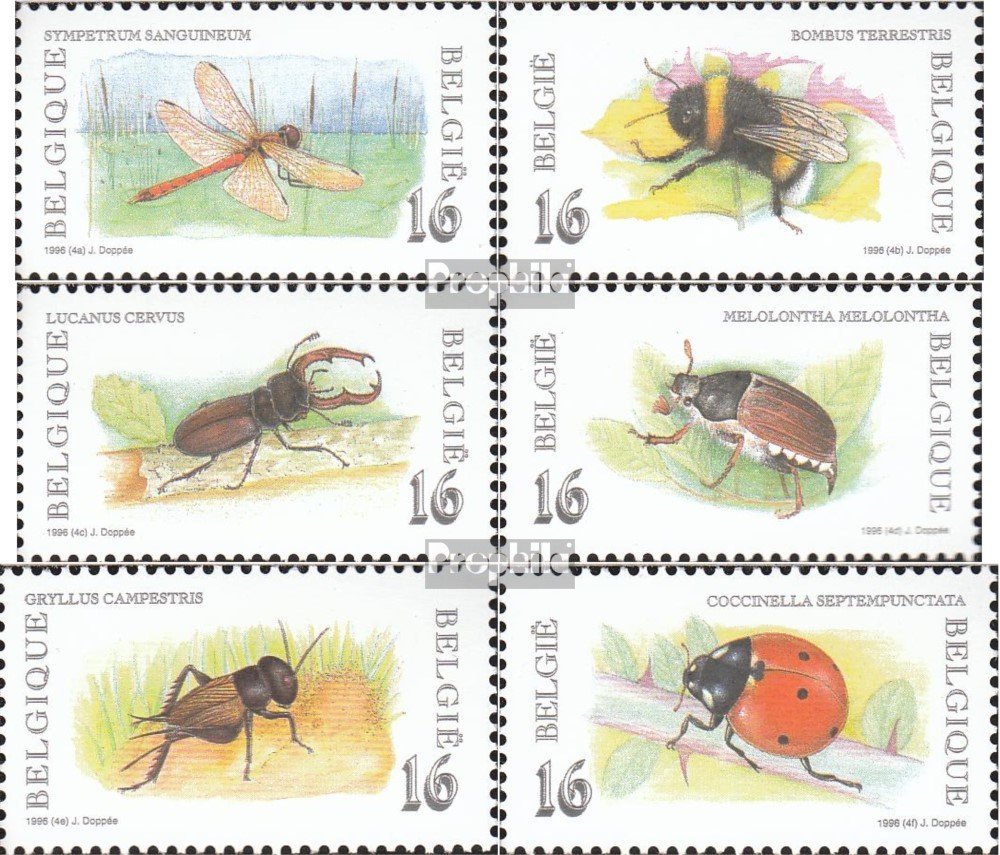 Timbre Madagascar Bloc 254 – Coléoptère Oblitéré – Édition Complète 1994 – Prophila Collection