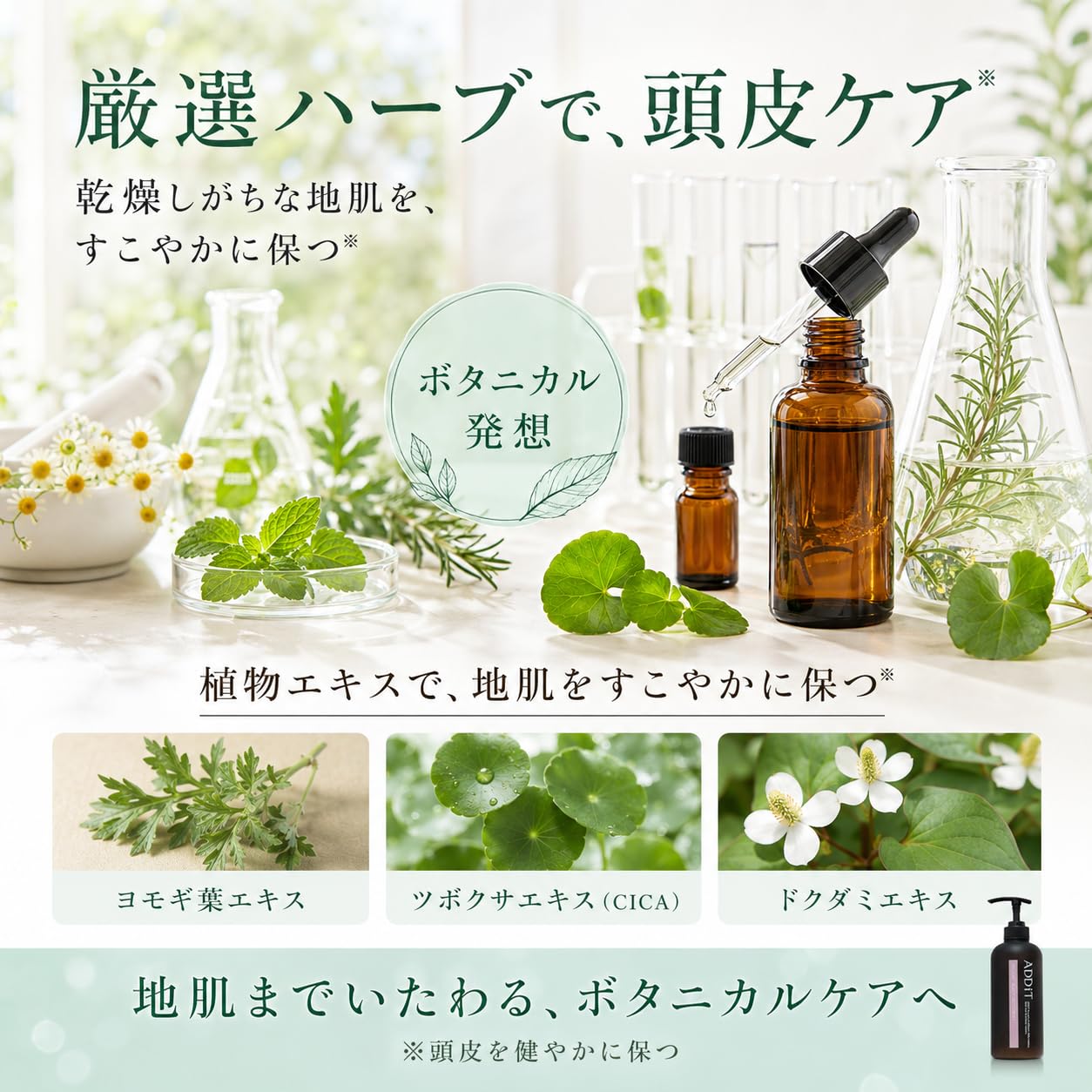 ADDiT　アディット オーガニックスカルプ シャンプー＆トリートメントのセット Amazon | ADDiT（アディット）オーガニック スカルプシャンプー