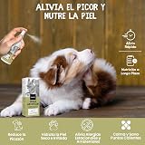 Ver la foto 2