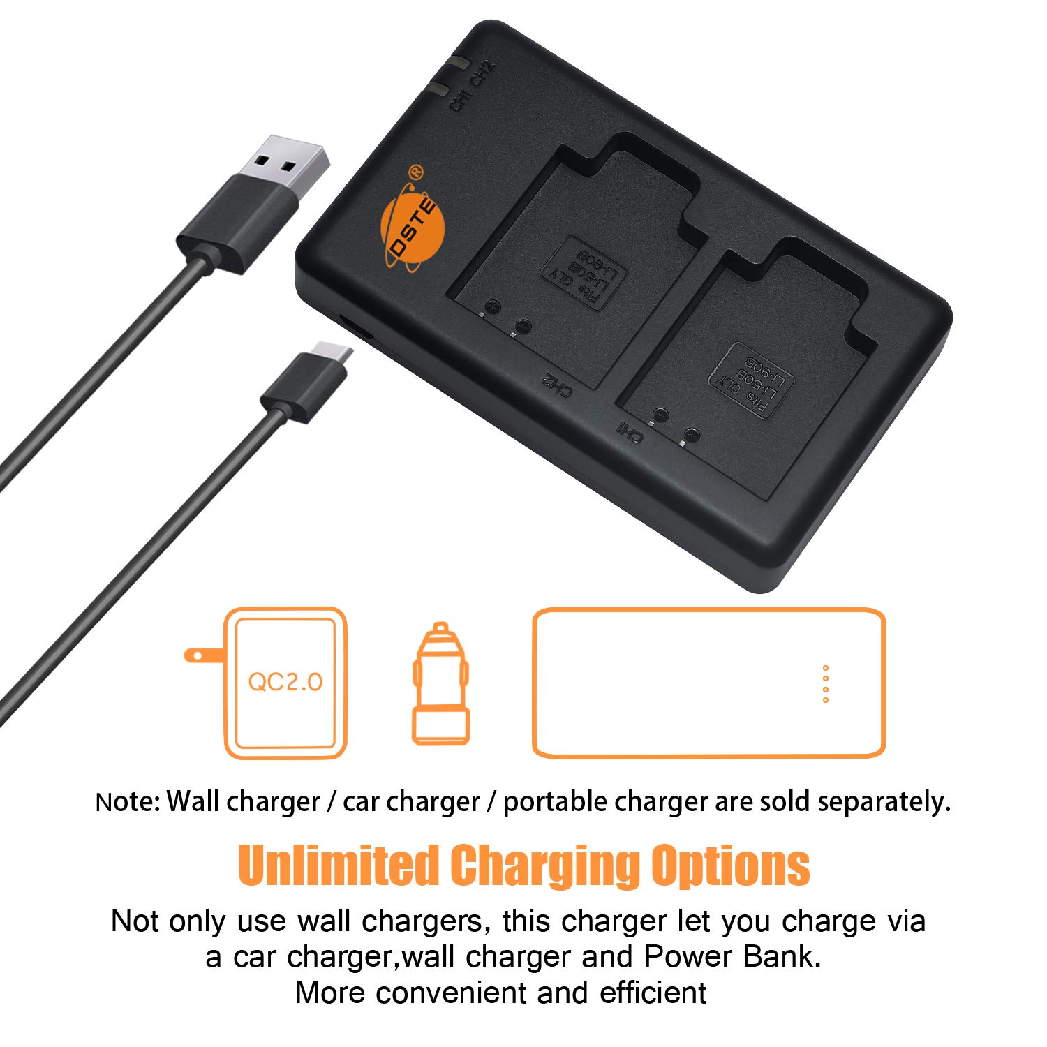 DSTE ®(2 Pack)Ersatz Batterie und DC73E Reise Ladegerät Compatible für Casio NP