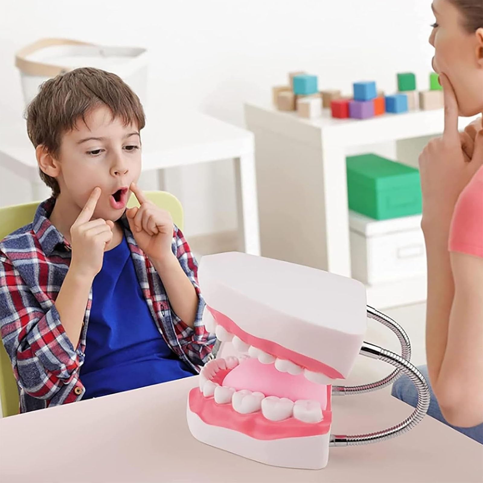 Dental-Demonstration, 6-Fach vergrößertes Zahnmodell mit Abnehmbarer Zungenbürste für Kinder und zahnärztliches Mundpflege-Lehrmodell