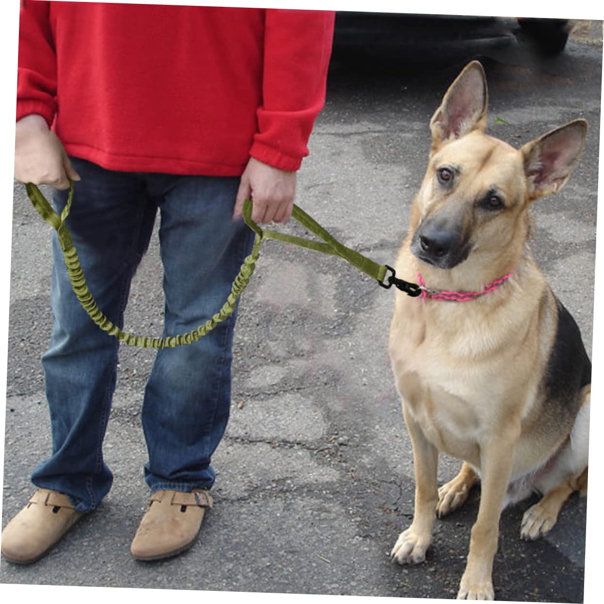 Kisangel 3piezas Correa Ajustable De Nylon Elástica para Perros Correa De Entrenamiento Resistente y para Paseos y Actividades