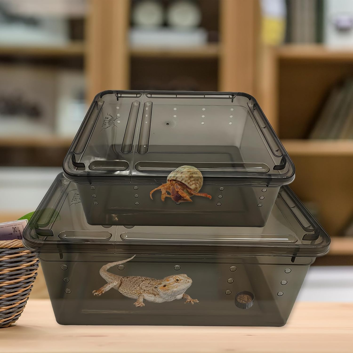 PINVNBY 8 PCS Reptile Feeding Box Portable Snake Breeding Box Reptile Transport Container 7.48"x4.92"x2.95" Plastic Pet Houses for Lizard Spider Scorpion Gecko Insect Tortoise Treefrog(Black) image 5