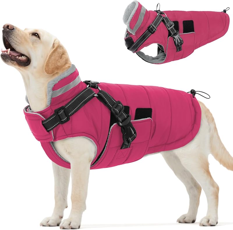 Casaco de inverno impermeável para cães com peitoral integrado Queenmore, Rose Red, 2XL