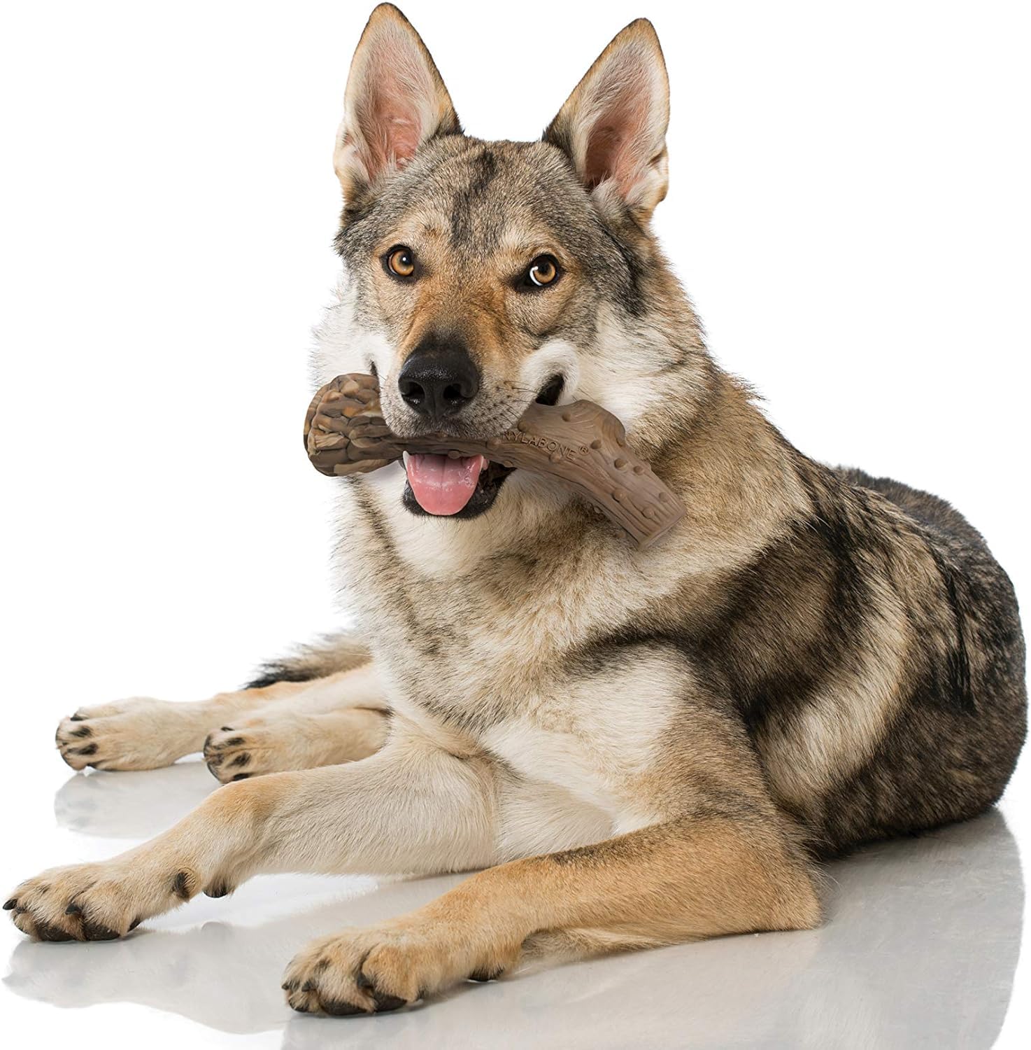 Nylabone Dura Chew - Juguete masticable de nailon para perros, grande (paquete de 4)