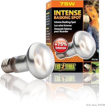 Exo Terra PT2136 Intense Sunbathing Spot, 75 Watt
