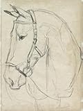 ART.COM Wall Art Print Horse in Bridle Sketch II by Jennifer Parker, 12
