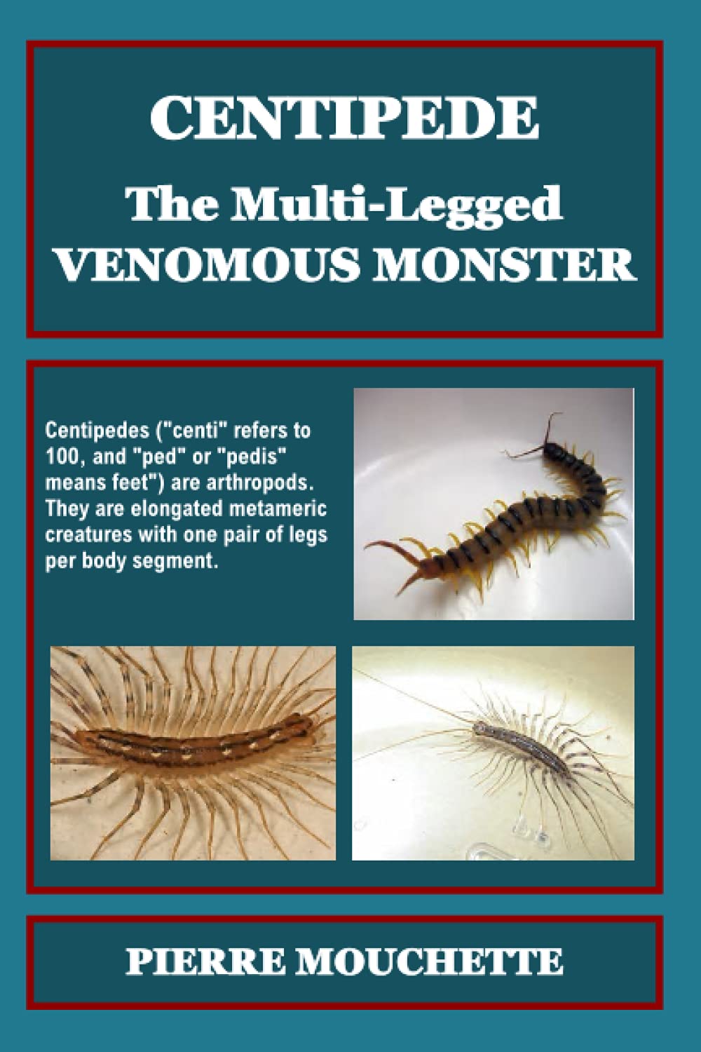CENTIPEDE – The Multi-Legged Venomous MONSTER