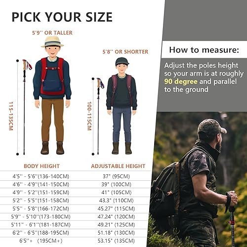 Miniatura 5 de BISINNA Bastones de senderismo de fibra de carbono plegables, bastones ligeros con mango de corcho, cierre rápido para mujeres y hombres, 2 unidades