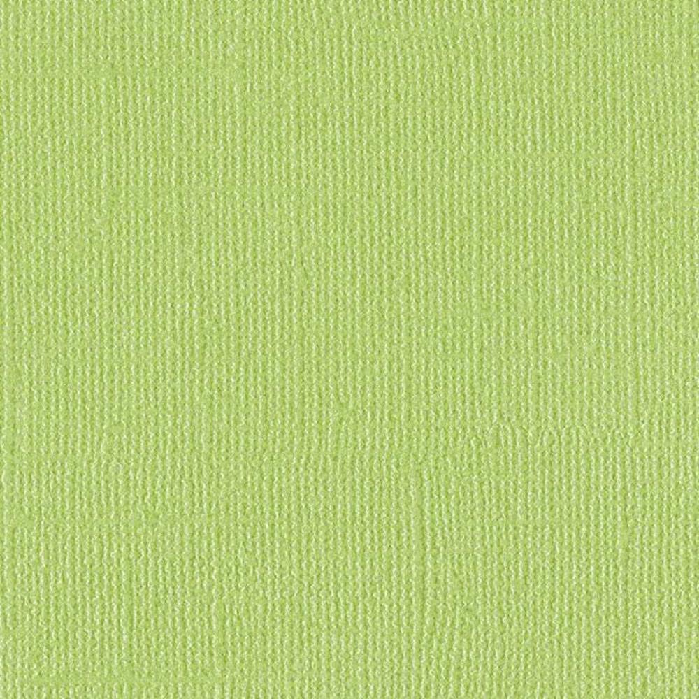 PETTY CASH - 12x12 Cardstock by Bazzill Bling | 80 lb pearlescent Green Scrapbook Paper | Premium Card Making Cardstock for Paper Crafts | 25 Sheets