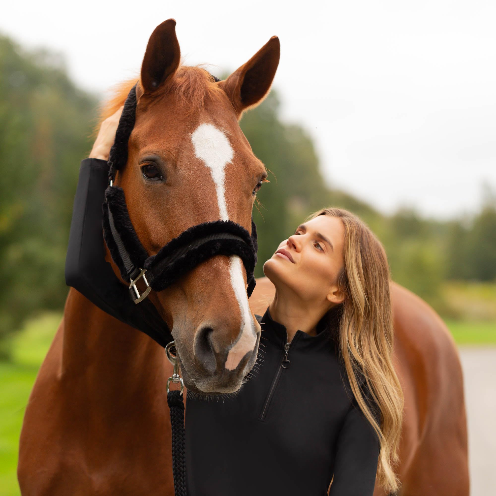 Equinavia Valkyrie - Cabestro de caballo ajustable con acolchado ultra suave, color negro y negro