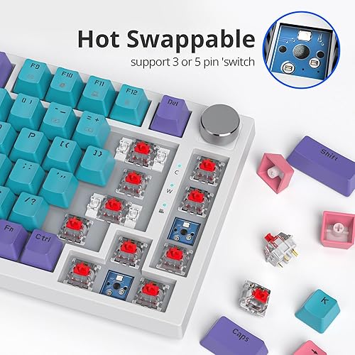 Miniatura 4 de Junta de teclado 75% montada con almohadillas absorbentes de sonido, teclado mecánico RGB compacto de 82 teclas para juegos, enchufe de intercambio