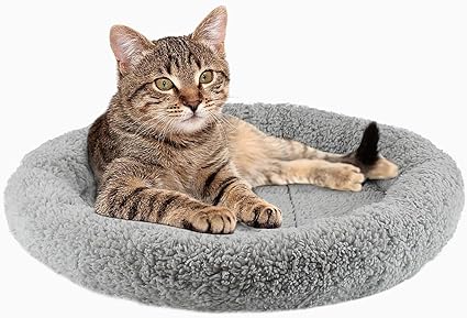 PETLESO Cat Bed for Indoor Cats, Round Cat Bed for Curl Sleep Basic Pet Mat Wahable Bed for Small Puppy Cats Rabbit, Medium PETLESO Cat Bed for Indoor Cats, Round Cat Bed for Curl Sleep Basic Pet Mat Wahable Bed for Small Puppy Cats Rabbit, Medium