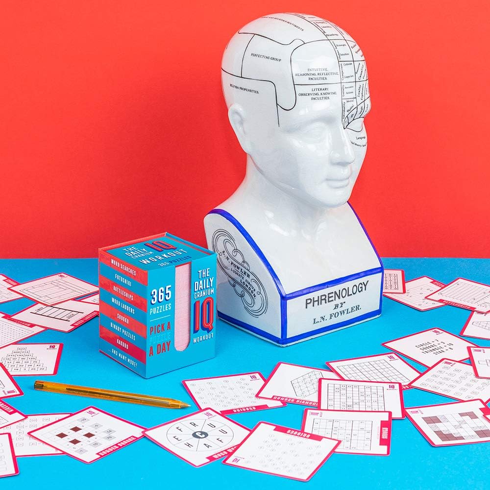 Brain Training The Daily Cranium Iq Quiz 365 Daily Brain Teaser Puzzles Riddles By Professor Puzzle Amazon Co Uk Toys Games