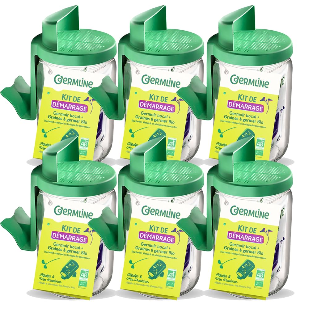 Germ'line Germoir en Verre - Lot de 6 germoirs en Verre Germline