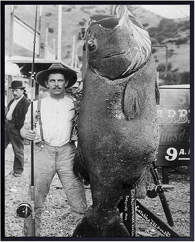 Decoración de pared de pesca - Arte de pared de pesca - Decoración de peces grandes - Póster de decoración de peces - 8 x 10 - Casa de playa -