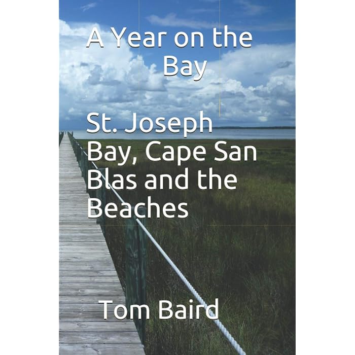 Buy A Year on the Bay St. Joseph Bay, Cape San Blas and the Beaches