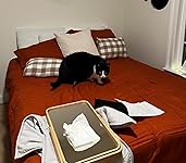 Review Image by Sarah Yang Sarah Yang