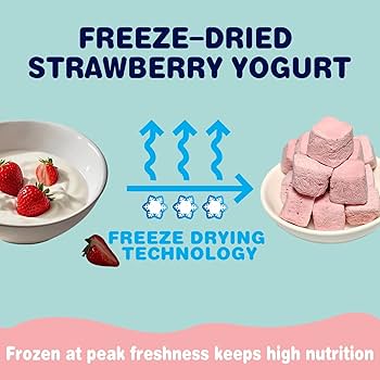 Amazon.com : JADINGSFARM Freeze-Dried Yogurt with Strawberry Dog